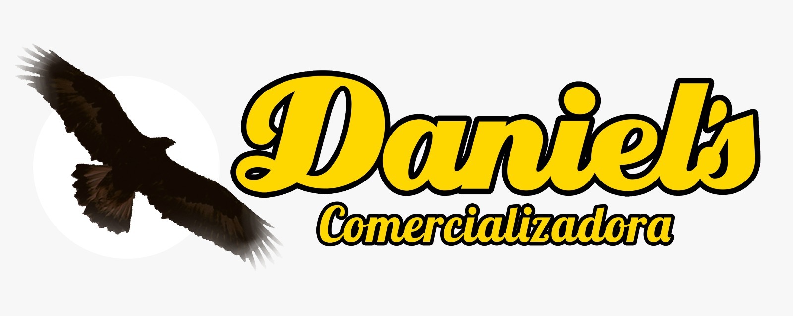 Distribuidora Daniels utilizando sistema ERP